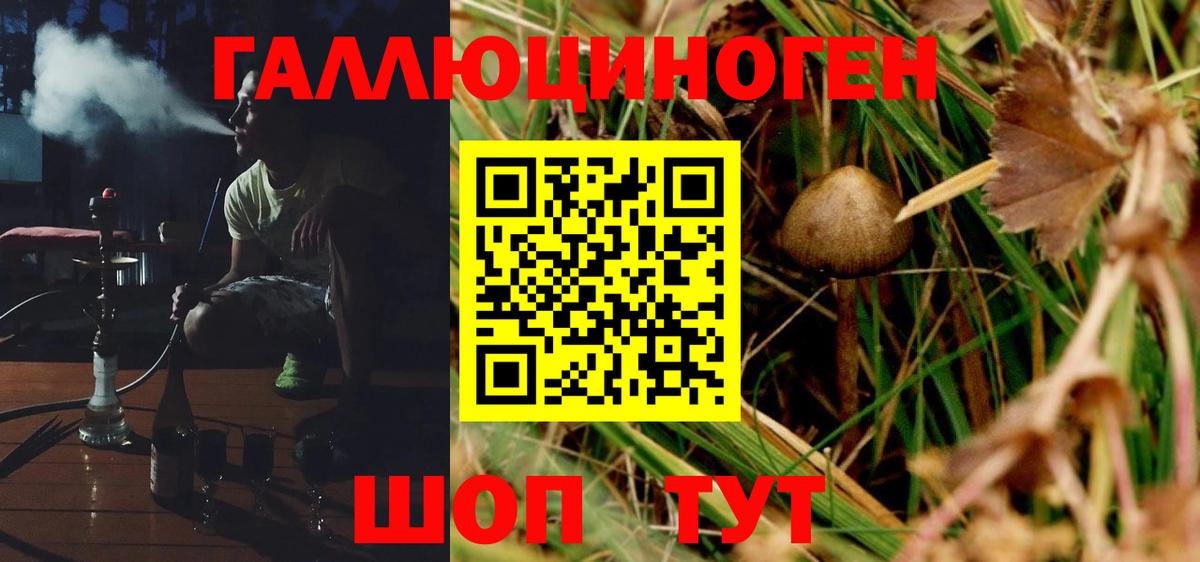 Псилоцибиновые грибы мицелий Лиски